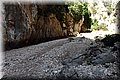 P6050020.JPG