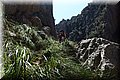 P6050030.JPG