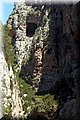 P6050033.JPG
