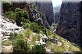 P6050061.JPG