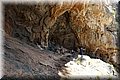 P6050078.JPG