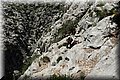 P6050110.JPG