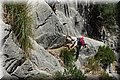 P6050114.JPG