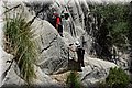 P6050118.JPG