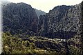 P6050151.JPG