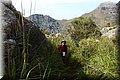 P6050154.JPG