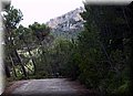 P6090201.JPG