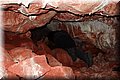P6090217.JPG