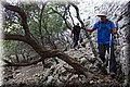 P6090228.JPG