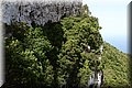 P6090230.JPG