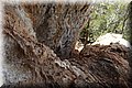 P6090320.JPG