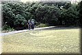 P6120330.JPG