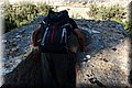 P6120336.JPG