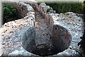 P6120341.JPG