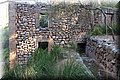 P6120346.JPG