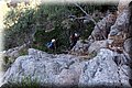 P6120348.JPG