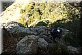 P6120349.JPG