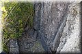 P6120360.JPG