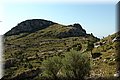 P6120365.JPG