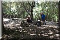 P6120370.JPG