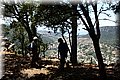 P6120375.JPG