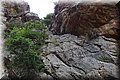 P6160444.JPG