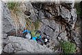 P6160454.JPG