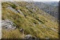 P6160470.JPG