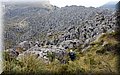 P6160489.JPG