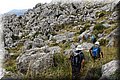 P6160491.JPG