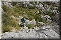 P6160504.JPG