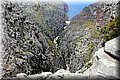 P6160530.JPG