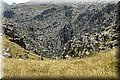 P6160555.JPG
