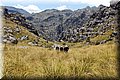 P6160557.JPG