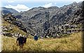 P6160558.JPG