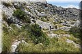 P6160561.JPG