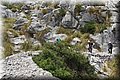 P6160564.JPG
