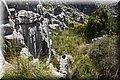 P6160577.JPG