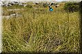 P6160578.JPG