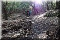 P6190622.JPG