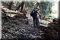 P6190627.JPG