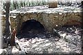 P6190641.JPG