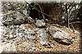 P6190655.JPG