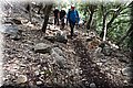 P6190668.JPG