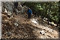 P6190670.JPG