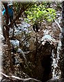 P6190680.JPG