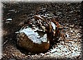 P6190683.JPG