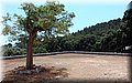 P6190687.JPG