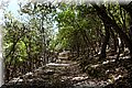 P6190695.JPG