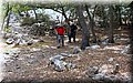 P6190699.JPG
